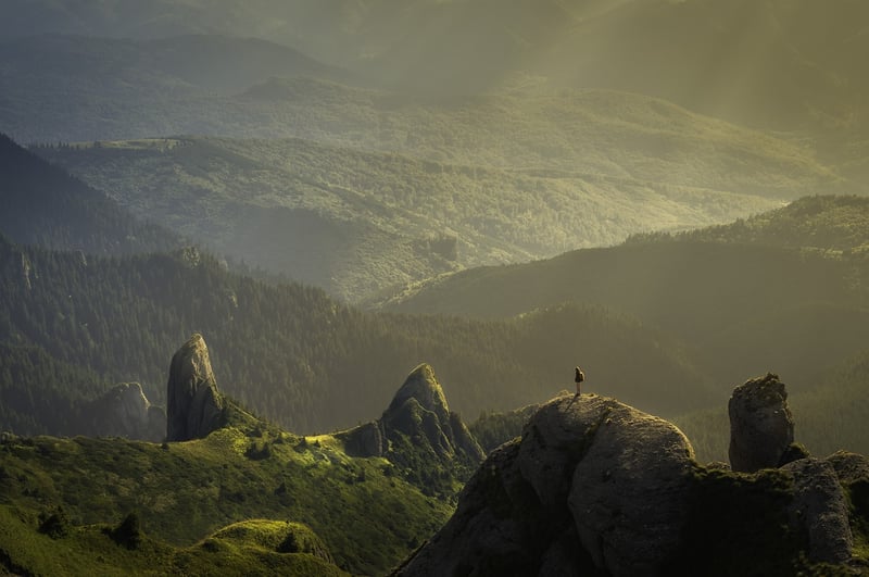 Mountain Biking