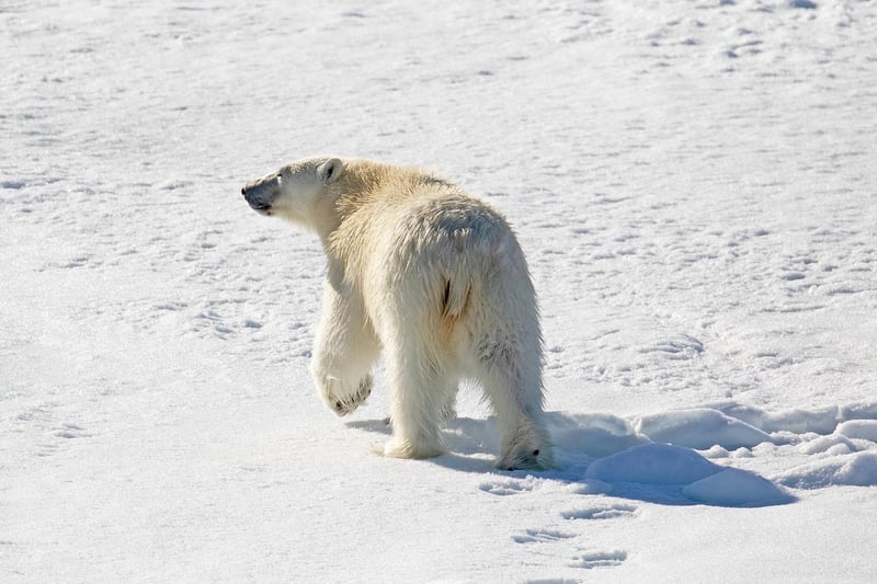 Svalbard, Norway